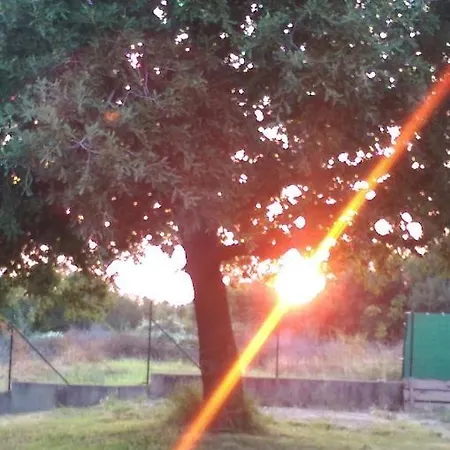 Ferienhaus House Romi