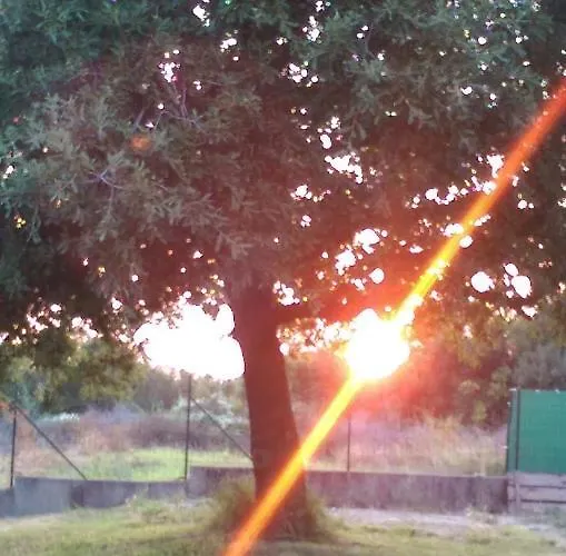 Σπίτι διακοπών House Romi